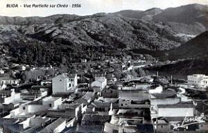 Blida - Vue partielle sur Chrea - 1956